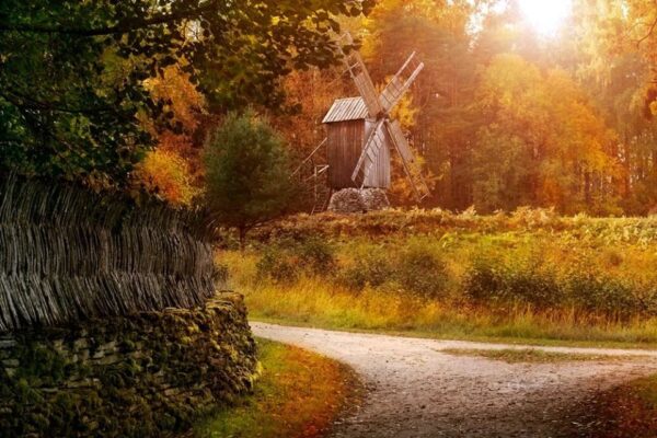 Tervema elu loomine – esivanemate väe äratamine looduse rütme kasutades