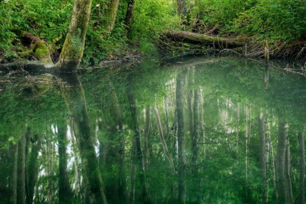 VAATA! Rahvusvahelist tähelepanu pälvinud hiite kuvavõistluse nõiduslikult kaunid paigad
