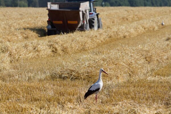 Maaülikooli Mahekeskuse korraldatud seminaril “Elukeskkonna ja toidu kvaliteet” tutvustati Eesti seireandmeid mulla, vee ja toidu kvaliteedi kohta