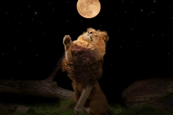 Tänane täiskuu Lõvis käivitab loomingulisuse ja sära ning toob tunnetuse oma sügavamast olemusest