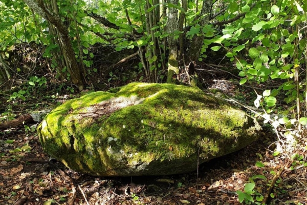 Selgusid hiite kuvavõistluse võitjad