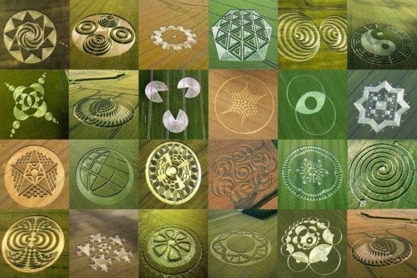 Eksperdid uurivad: viljaringid – mõistatus läbi sajandite