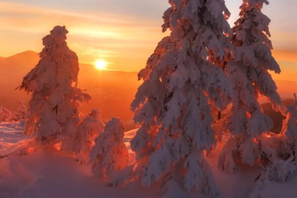 Nädala energiad: elu lööb su ees lahti uute võimaluste ja väljavaadete lehviku