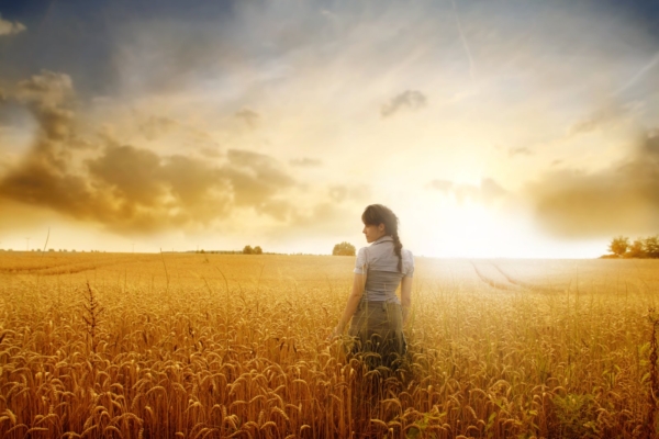 Elu iseendana on kui põllupeenra harimine