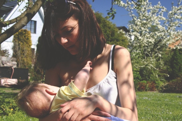 GMO-vaba riik või GMO Vabariik