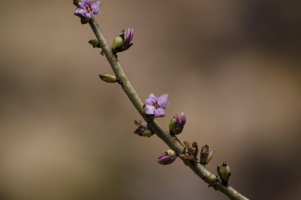 Nõrkuse kiituseks: ära karda näidata oma tõelisi tundeid