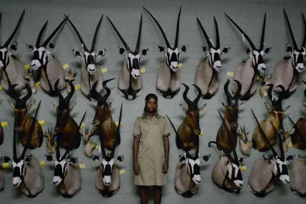 Keskkonnakuu ETV2-s toob vaatajateni üheksa erilist ja olulist dokumentaalfilmi