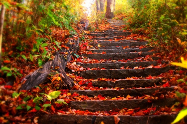 Nädala energiad: tähtis on teadvustada, et sinuga ei ole midagi valesti, loobuda enese süüdistamisest ja õppida iseennast tingimusteta armastama