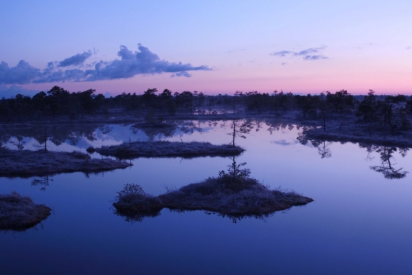 Rända “Tuulte tahutud maaga” läbi Eesti looduse