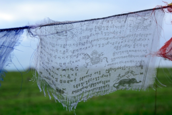 Iidse tiibeti meditsiini paastutarkus