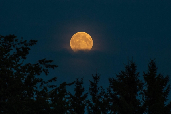 Maagiline täiskuurituaal, mis toob rikkuse ja külluse!