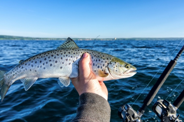 Merevees olev mikroplast võib jõuda ka inimese toidulauale