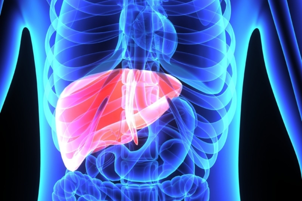 Lõviosa heaoluühiskonna tõbesid saab alguse pingeseisunditest maksas