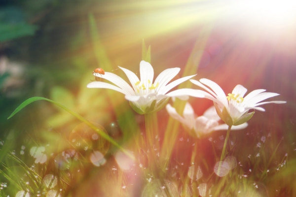 Nädala energiad 7.- 13. mail: toimub üleminek uutesse mustritesse