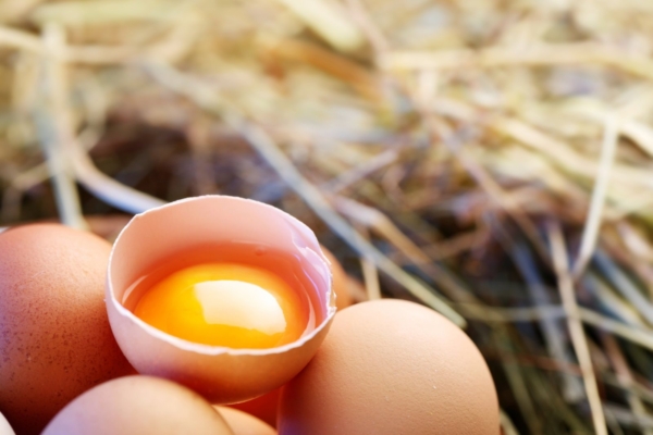 Raud kosutab verd ning hoiab närvi- ja immuunsüsteemi töökorras