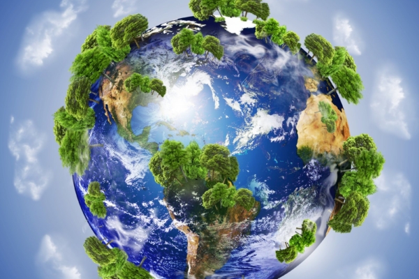 Earth Day: tänane rahvusvaheline Maa Päev on pühendatud puude istutamisele
