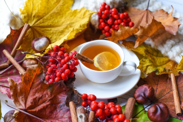 Oktoobrikuu energiad: oluline on hoida oma meeleseisund positiivne