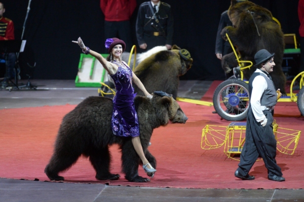 Eesti loomakaitseajaloo suurim võit: Eesti keelustas metsloomade kasutamise tsirkuses!