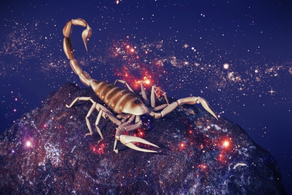 Kätte on jõudnud müstiline Skorpioni sodiaagimärgi aeg, mis paneb endasse vaatama