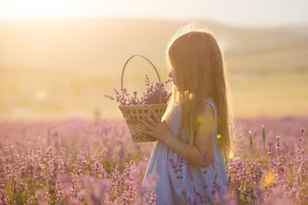 Augustikuu energiad 2020