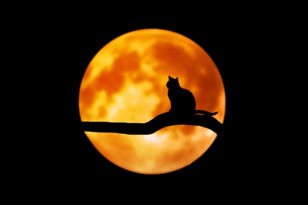 Nõiduslik päev: täna on 13. kuupäev, reede ja täiskuu!