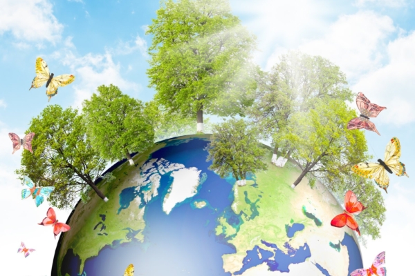 Teadlased tõdevad: elurikkuse kadu seab ohtu ökosüsteemide kestlikkuse