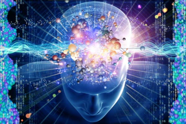 Käbikeha müsteerium: mis on selle roll meie kehas?