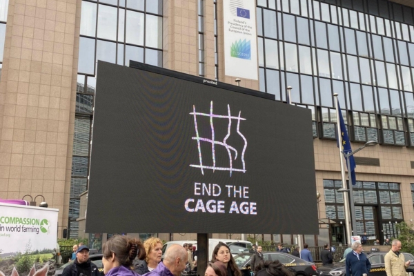 Euroopa loomakaitsjad ja eurosaadikud tähistasid loomakaitse ajaloo edukamat kodanikualgatust – 1,6 miljonit allkirja loomade heaks!