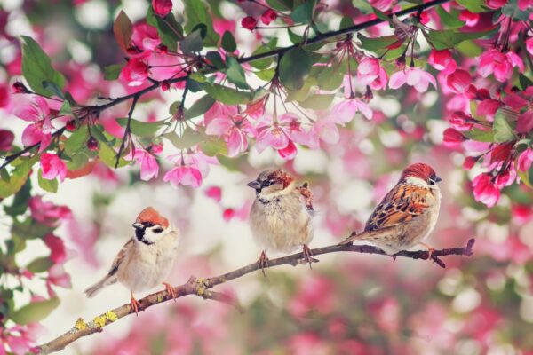 Maikuu energiad: avaneb aken tulevikku