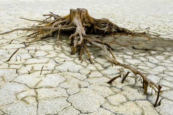 PÕUD: Maailma suuruselt kaheteistkümnendal megalinnal on vesi otsa saamas