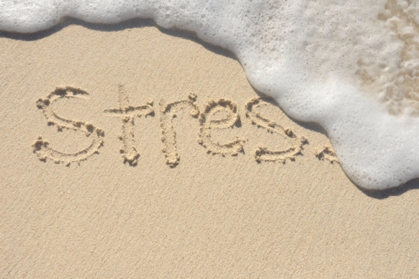 Mida teeb stress sinu kehale ja meelele ning kuidas sellest vabaneda?