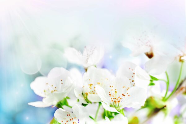 Nädala energiad 14.- 20. mail: märksõnadeks on vabadus ja armastus