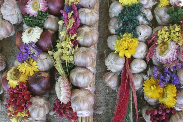 Kuidas tõsta immuunsust?