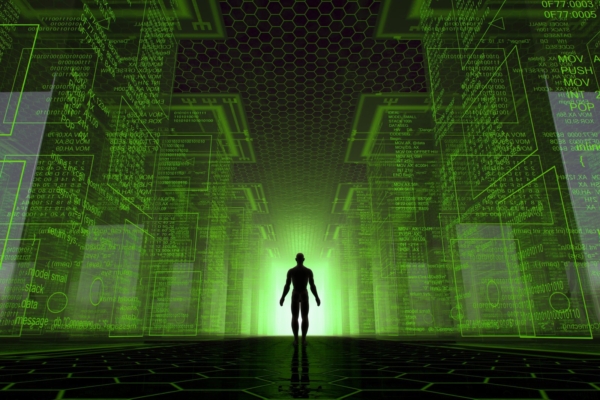 Me elame simulatsioonis