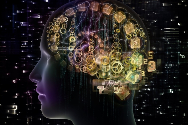 Kohustuslik video: vale, mida me elame