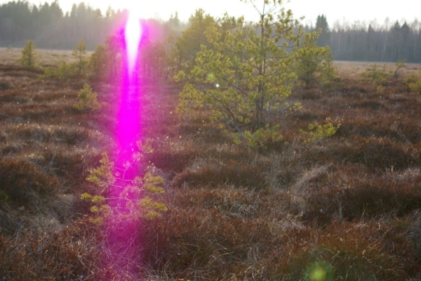 Teofilus Tõnisson: Kaiu rabas asub tulnukate salajane maa-alune baas