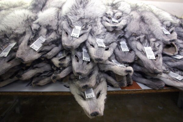 UURING: Karusnahksed riided ja aksessuaarid sisaldavad keelatud koguses mürgiseid kemikaale