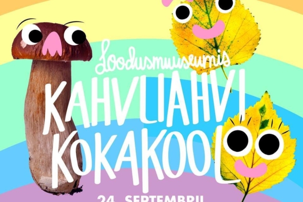 Kahvliahvikesed ilmutavad end järgmisel laupäeval Eesti Loodusmuuseumi seenenäitusel!