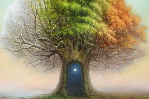 Kas sina soovid käia šamaani teed?