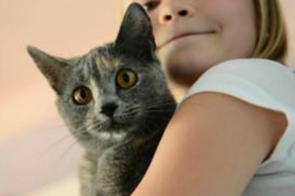 VAATA PILTE: Alkeemia lugejate nurrik-terapeudid tööhoos