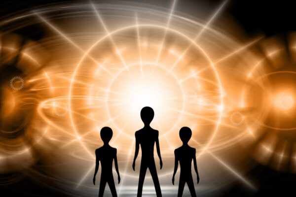 Tulnukad – millised nad on ja kuidas nendega suhelda?