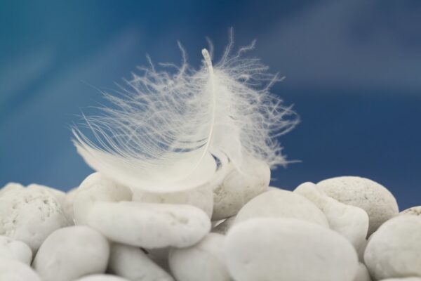 Selgeltnägija õpetab: inglitega suhtlemiseks tuleb end nendega ühele lainele häälestada