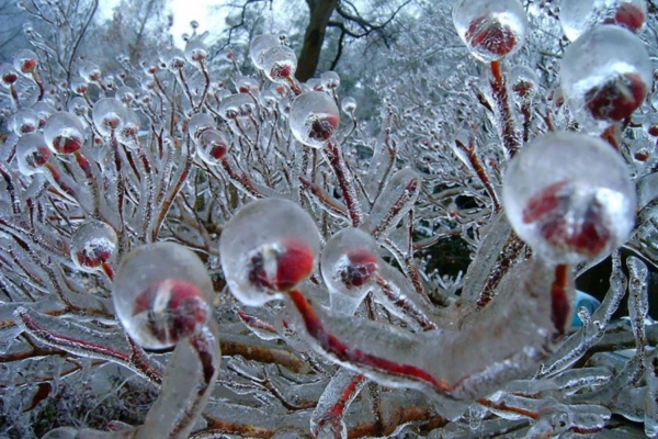 VAATA & NAUDI: 23 imelist looduse poolt vormitud jääst ja lumest kunstiteost