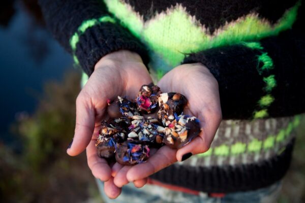 Retsept raamatust “Metsaköök”: tee tervislikke ja suussulavaid datlikomme