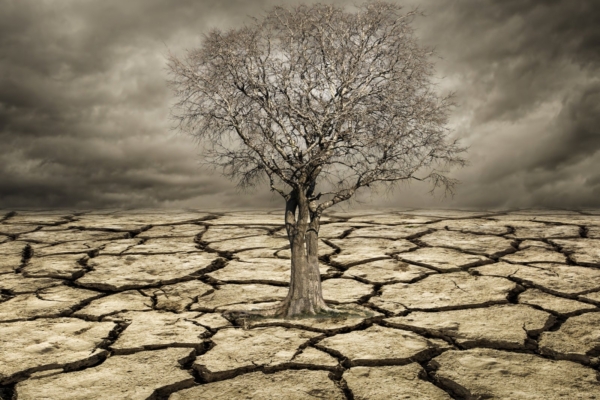 Kliima soojeneb kiiremini kui viimase 2000 aasta jooksul