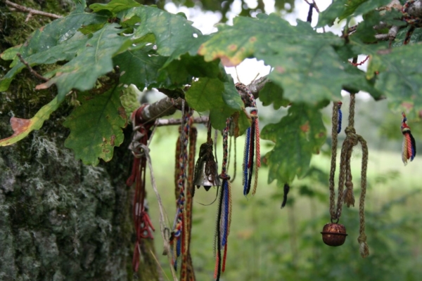 Uus kaardirakendus aitab üles leida Eesti looduslikud pühapaigad