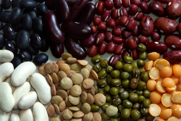 Vegan.ee avalik kiri: kas Eestis keelustatakse kaunviljatoidud?