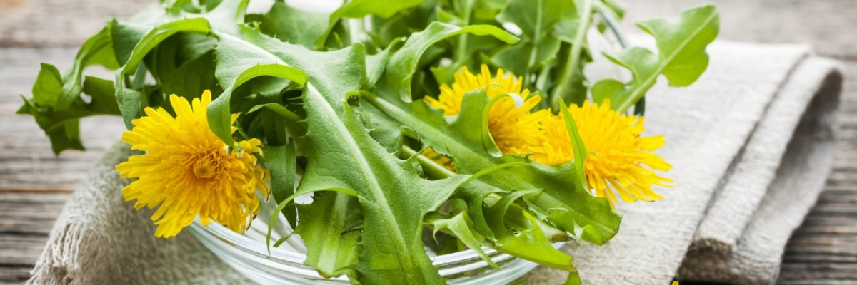 VAATA: Alkeemia eetris oli sissejuhatav kokandustund metsikutesse maitsetesse ehk umbrohundusse