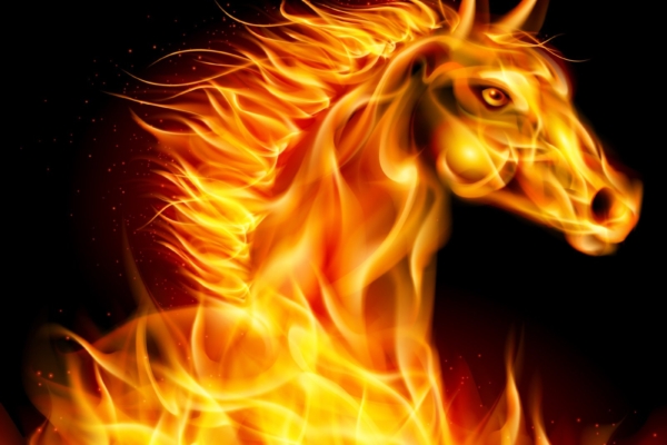 Mida näitab sinu looma-aasta märk? 12 fakti Hobuse aastal sündinud inimeste kohta