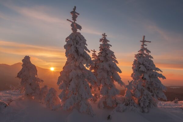 Täna on talvine pööripäev: maagiline aeg ja aasta oluline pöördepunkt
